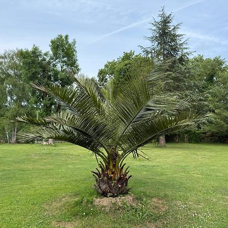 Appartement Familial Au Bord De La Marne, Jardin 8000M2, Piscine, Court De Tennis, Terrasse, Parking Gratuit Proche Disneyland Isles-lès-Villenoy Kültér fotó