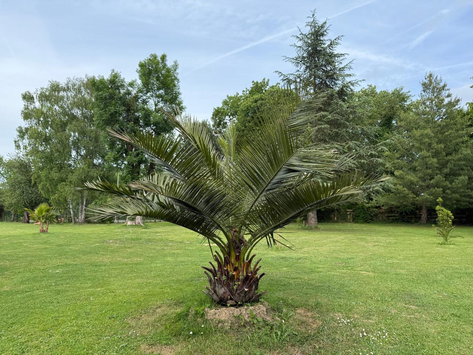 Appartement Familial Au Bord De La Marne, Jardin 8000M2, Piscine, Court De Tennis, Terrasse, Parking Gratuit Proche Disneyland Isles-lès-Villenoy Kültér fotó